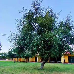 https://nuraghe-ruiu-eco-camping-village.in-sardinia.net